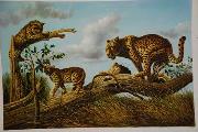 unknow artist Lions 030 Germany oil painting artist